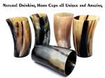 Set of 2 Horn Viking Drinking Mugs