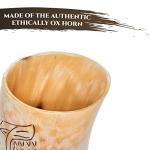 Trondebal Viking Drinking Horn Mug Set of 4