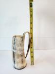 Viking Alehorn Beer Drinking Horn Tankard 13oz