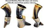 Viking Drinking Horn with Stand – 16 oz Cup