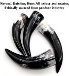 Viking Drinking Horn with Stand – 16 oz Cup