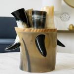 Viking Drinking Horn and Stand for Mead and Ale