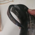 Authentic Viking Horn Tankard Mug for Drinking