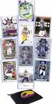 Minnesota Vikings Star Players Trading Card Gift Pack