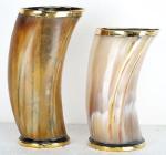 Set of 4 Viking Drinking Horn Mugs