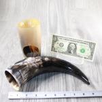 Polished Cow Horn Tankard with Stand