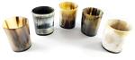 Viking Drinking Horn Mug and Shot Glass Set