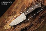 Viking Heritage Damascus Skinner Knife by Gladius