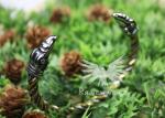 Odin's Ravens Viking Torque Bracelet