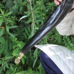 Brass-Decorated Medieval Drinking Horn with Stand