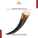 Tiger's Eye Viking Drinking Horn with Iron Stand