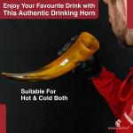 Tiger's Eye Viking Drinking Horn with Iron Stand