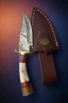 Viking Damascus Steel Fixed Blade Knife with Stag Handle