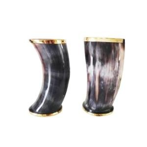 Viking Drinking Horn Mug Set for Ale Lovers