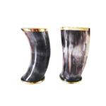 Viking Drinking Horn Mug Set for Ale Lovers