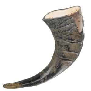 Natural Viking Renaissance Drinking Horn by Nili-Ravi