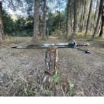 Viking Style Replica Sword with Wooden Handle