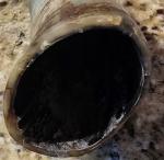 14" Viking Steer Horn Drinkware Decor Piece