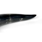 Large Viking Drinking Horn with Brass Rim