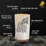 Set of 5 Viking Drinking Horn Shot Glasses