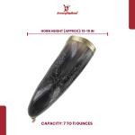 Jormungandr Viking Drinking Horn with Iron Stand