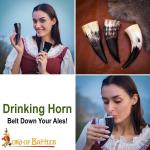 Viking Drinking Horn Set - 3 to 6 Pieces