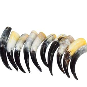 Authentic Viking Drinking Horn Tankard for Beer