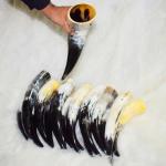 Authentic Viking Drinking Horn Tankard for Beer