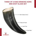 Viking Three-Piece Bovine Horn Drinking Set