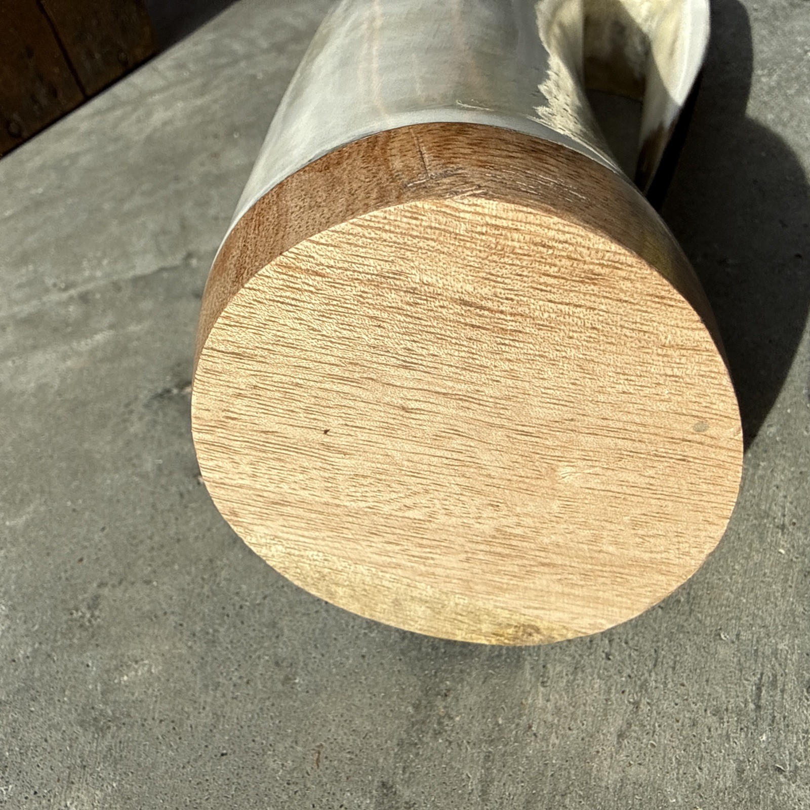 Original Viking Drinking Horn - 7 Inches Tall