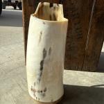 Original Viking Drinking Horn - 7 Inches Tall