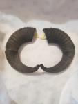 Soay Sheep Ram Horn Drinking Horns Pair