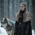 Viking Faux Fur Shawl Collar Shoulder Wrap