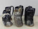 Medieval Viking Horn Mug Set - 6 Pieces