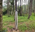 Custom Carbon Steel Viking Survival Machete - 36