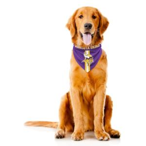 Minnesota Vikings Pet Bandana in Team Colors