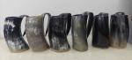 Medieval Viking Horn Mug Set - 6 Pieces