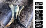 Thor Viking Valhalla 12” Drinking Horn with Stand