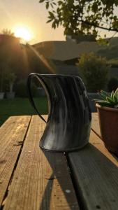 Large Black Viking Drinking Horn Mug