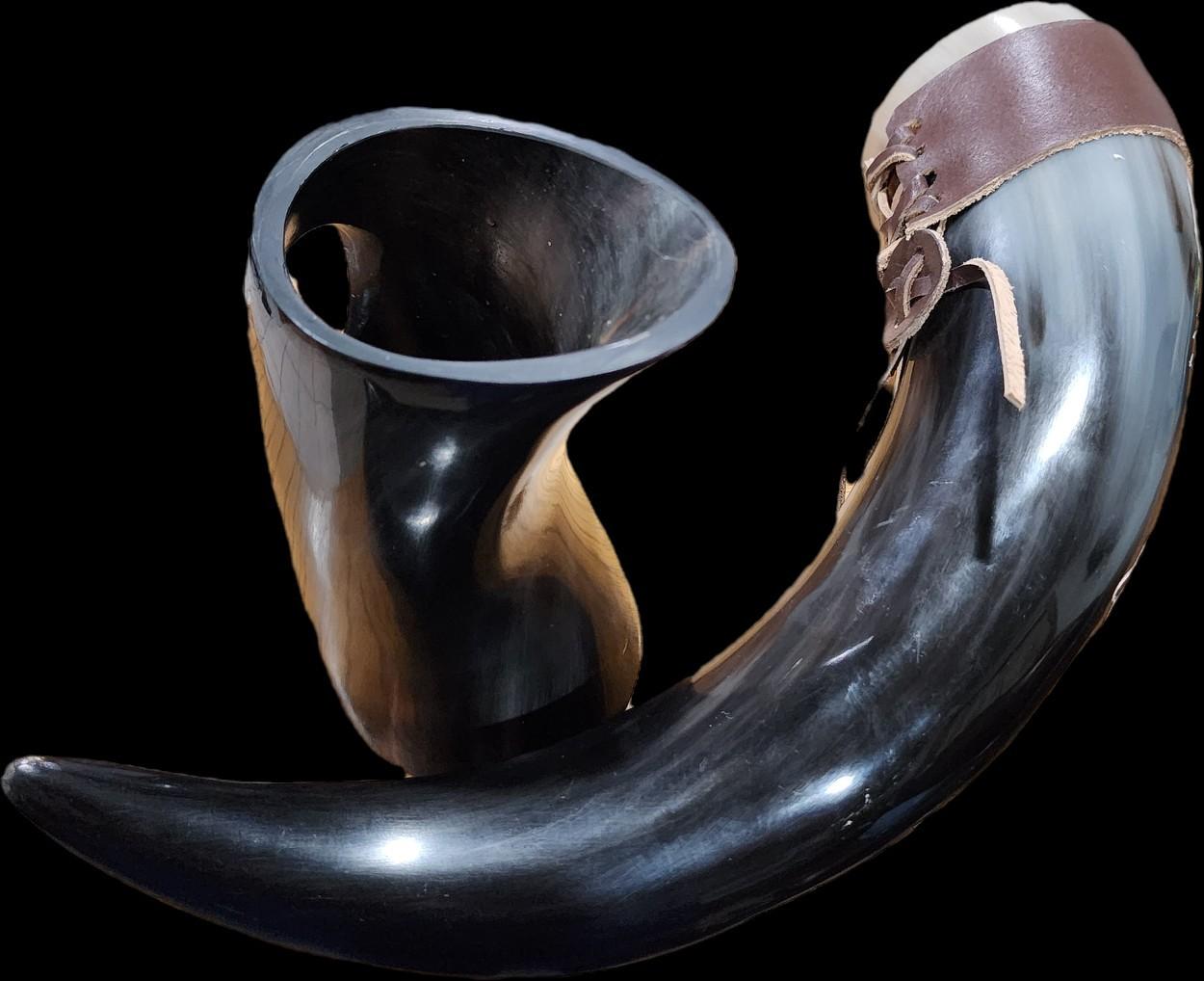 Vikingsbrand 16" Genuine Drinking Horn with Holder