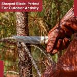 Full Tang Stainless Steel Viking Outdoor Knife