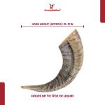 Natural Ram Horn Drinking Horn | Rustic Décor Gift