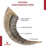 Natural Ram Horn Drinking Horn | Rustic Décor Gift