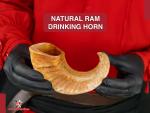 Natural Ram Horn Drinking Horn | Rustic Décor Gift