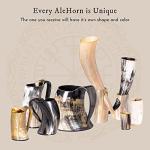 Viking Horn Mug Set for Beer and Coffee