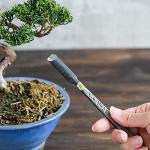 Wazakura Carbon Steel Curved Bonsai Chisel 7.2