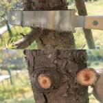 6 Inch Japanese Pull Saw with Flexible Blade