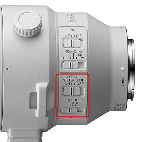 Sony 200-600mm G OSS Zoom Lens