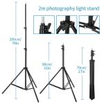 86" Studio LED Softbox Lighting Kit
