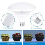 86" Studio LED Softbox Lighting Kit